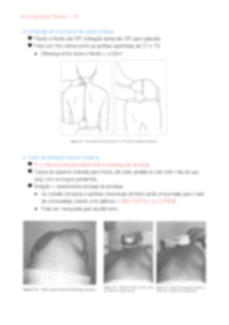 Solution Semiologia Ortop Dica Tor Cica Studypool