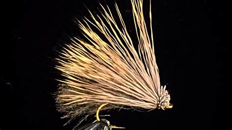 Fly Tying Grannom Caddis Youtube