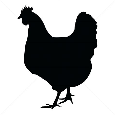 chicken outline    clipartmag