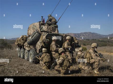 1er batallón de reconocimiento blindado ligero fotografías e imágenes