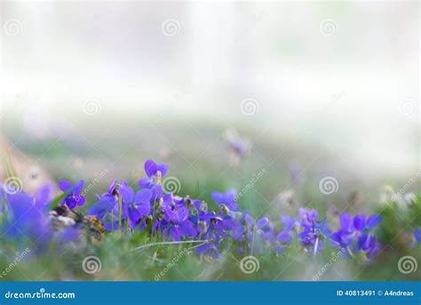 Tiny Blue Bird Egg In A Nest. Royalty-Free Stock Photography