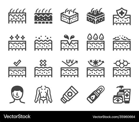 Skin Icon Set Royalty Free Vector Image Vectorstock