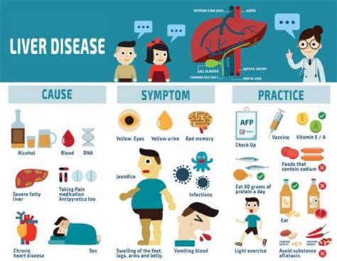 Alcohol and the Liver - How Alcohol Damages the Liver?