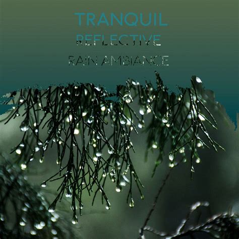 Zzz Tranquil Reflective Rain Ambiance Zzz Album By Thunderstorm Sound