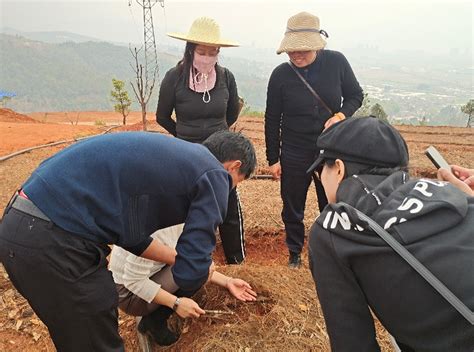 昆明市种苗站加强对乡土树种育苗技术指导 Isenlin Cn