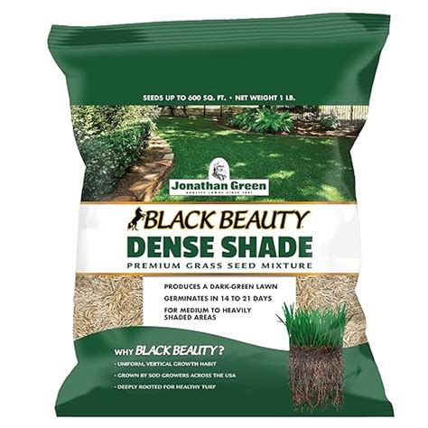 Jonathan Green 10622 Dense Shade Grass Seed Mix 1 Pounds Garden And Outdoors