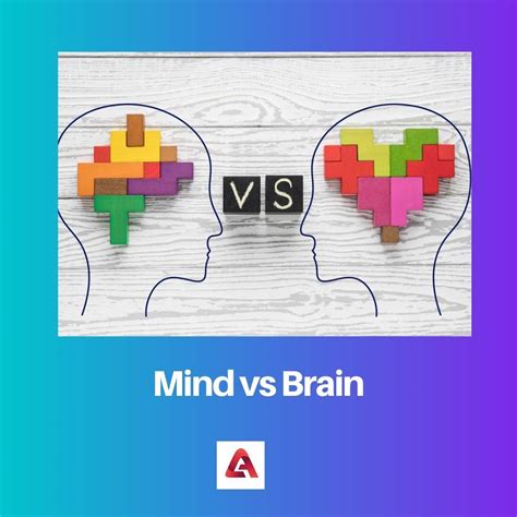 Mind vs Brain: Difference and Comparison