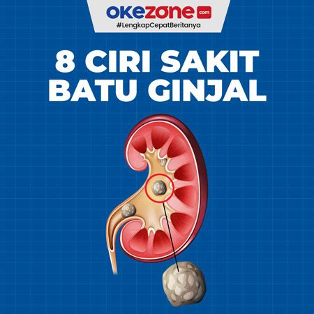 Infografis Ginjal