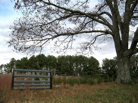 Pigg Cemetery em Tennessee Cemitério Find a Grave