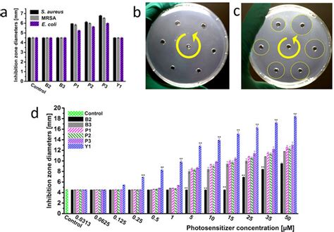 The Data Of Inhibition Zone Diameters With Different Pss At Different