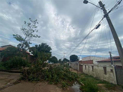 Chuva Com Vendaval Assusta Moradores E Derruba árvores Em Palmas