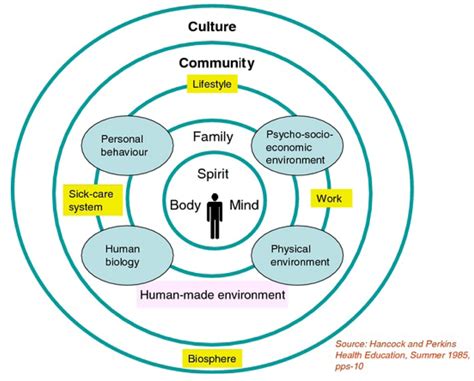 Ijerph Free Full Text Developing An Exploratory Framework Linking