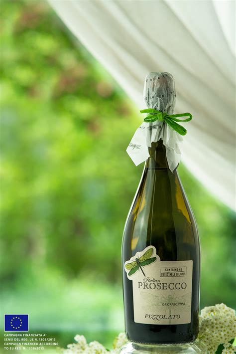 No Sulfites Added Prosecco - Natural Merchants Organic Wine