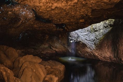 5 Glow worm caves you must explore in New Zealand – TourHero