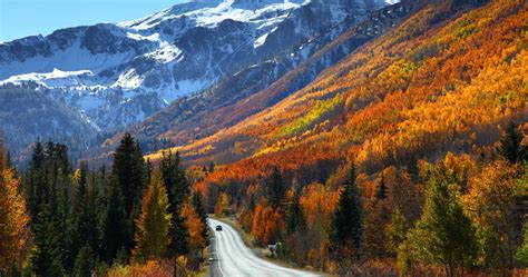 10 Places To Find Stunning Fall Foliage In Colorado