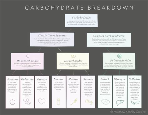 Carbs digestion | Carbohydrates chart, Carbohydrates, Medical school