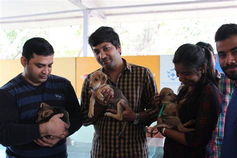 Blue Cross Organized An Adoption Drive For Indian Dog Breeds