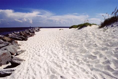 Leave Only Footprints • Gulf Shoresorange Beach Alabama Real Estate For Sale