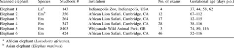 Pregnant elephants examined by 2D and 3D ultrasound | Download Table