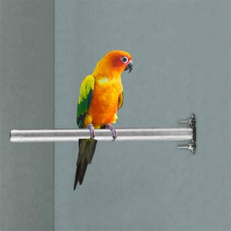 Bird Cage Perch Stainless Steel Parrot Toys Exercise Platform Standing