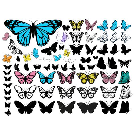 Premium Vector | Butterfly vector outline art illustration