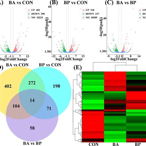 Differential Expression Analysis A C Volcano Plot Displaying The Degs Download Scientific