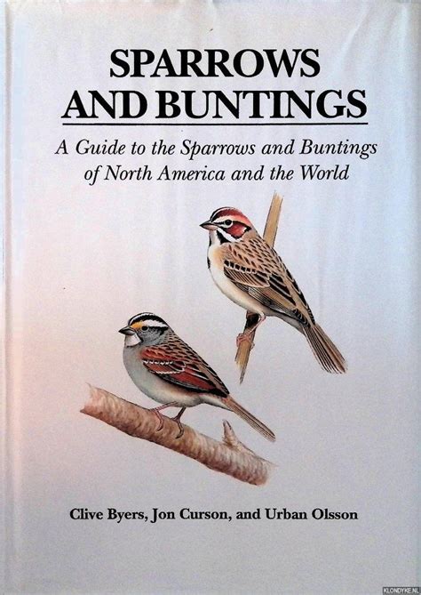 Sparrows And Buntings A Guide To The Sparrows And Buntings Of North