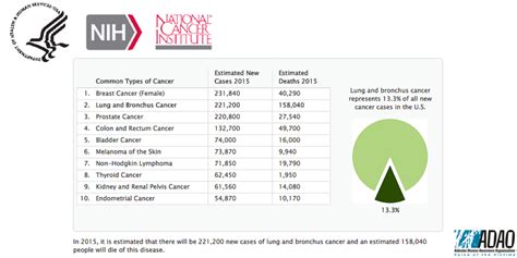 Nci Cancer Data 2015 Canva Adao Asbestos Disease Awareness Organization