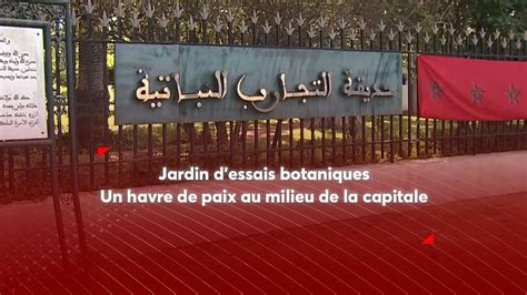 Jardin Dessais Botaniques De Rabat Un Havre De Paix Pour Les