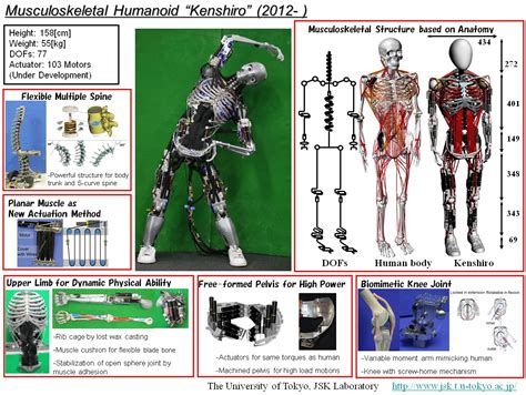 Kenshiro musculoskeletal humanoid | Bot Scene