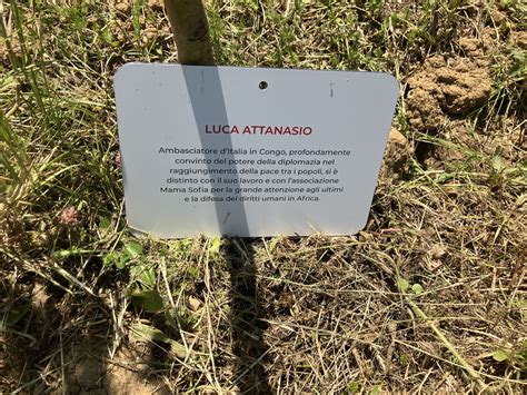 Un Giardino Dei Giusti A Rondine Cittadella Della Pace Verr