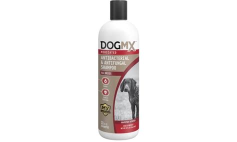 10 Best Medicated Dog Shampoos for Skin Allergies - Orlando Magazine