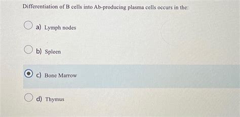 Answered Differentiation Of B Cells Into Bartleby