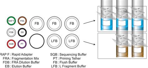 Ultra Long DNA Sequencing Kit Interprise Oxford Nanopore