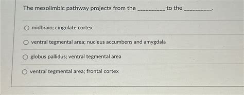 Solved The mesolimbic pathway projects from the ﻿to the | Chegg.com