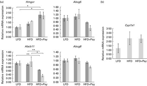 Quantitative Pcr Qpcr Gene Expression Analysis A Validation Of