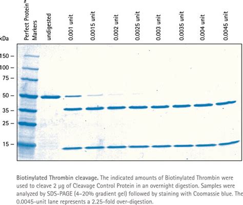 Site Specific Proteases And Cleavage Capture Kits Kits Enzymes For