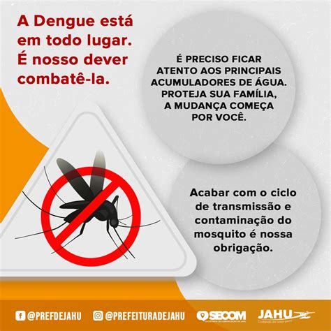 Evite A Dengue E Fique Atento Aos Sintomas Prefeitura Do Município De