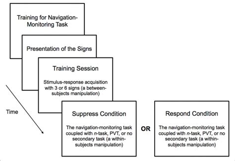 Schematic Depiction Of Sequence Of Events Composing The Experimental