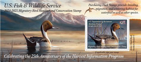 Duck Stamps Online Duck Stamp