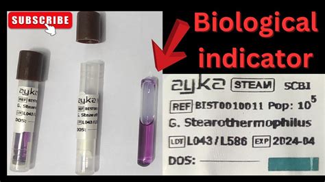 Biological Indicator G Stearothermophilus Ayka Steam