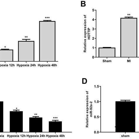 Ischemic Cardiac Injury Increased Hottip Expression And Decreased