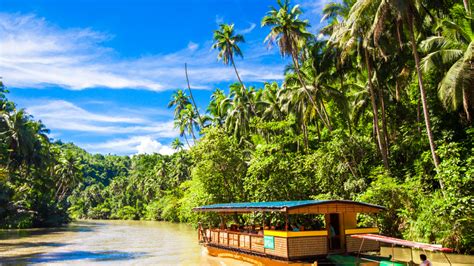 Discover the Magic of Bohol: Experience the Enchantment of a Loboc River Cruise