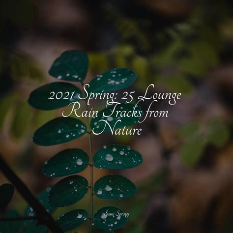 2021 Spring 25 Lounge Rain Tracks From Nature Album By Bath Spa