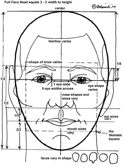 14 Best Images of Draw Face Proportions Worksheet - Human Face ...