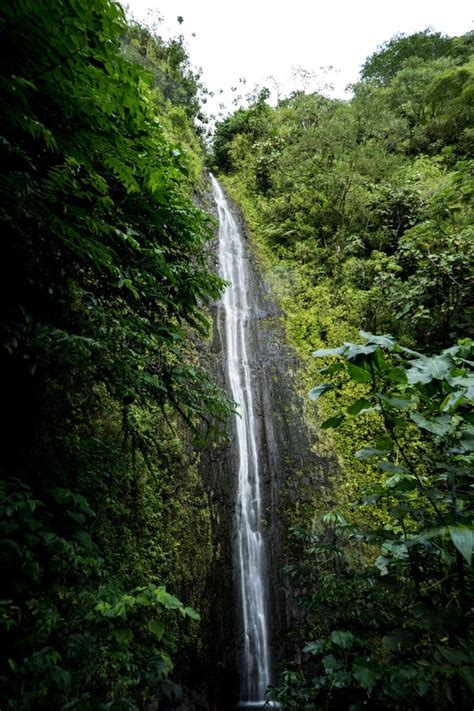 Captura Vertical De Una Hermosa Cascada En Hawaii Oahu Foto De Archivo