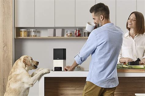 The best pet cameras of 2022 | Digital Trends