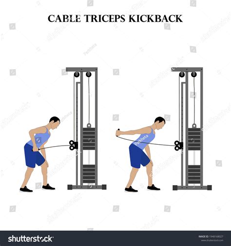 7 Cable Tricep Kickbacks Images, Stock Photos & Vectors | Shutterstock