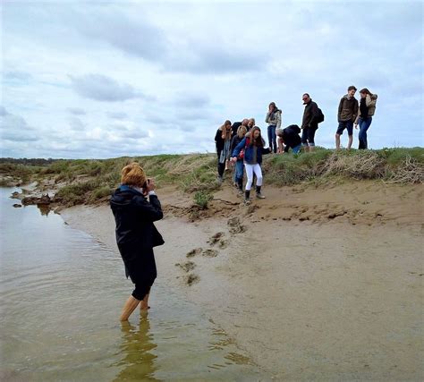 Travers E De La Baie De Somme Avec Un Guide Passion Baie De Somme