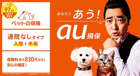 ペット保険｜犬・猫の保険｜au損害保険株式会社 パソコン・スマホから簡単に！みたいを探せる！ほしいを探せる！カンタン操作で”ほけん探しの日常を